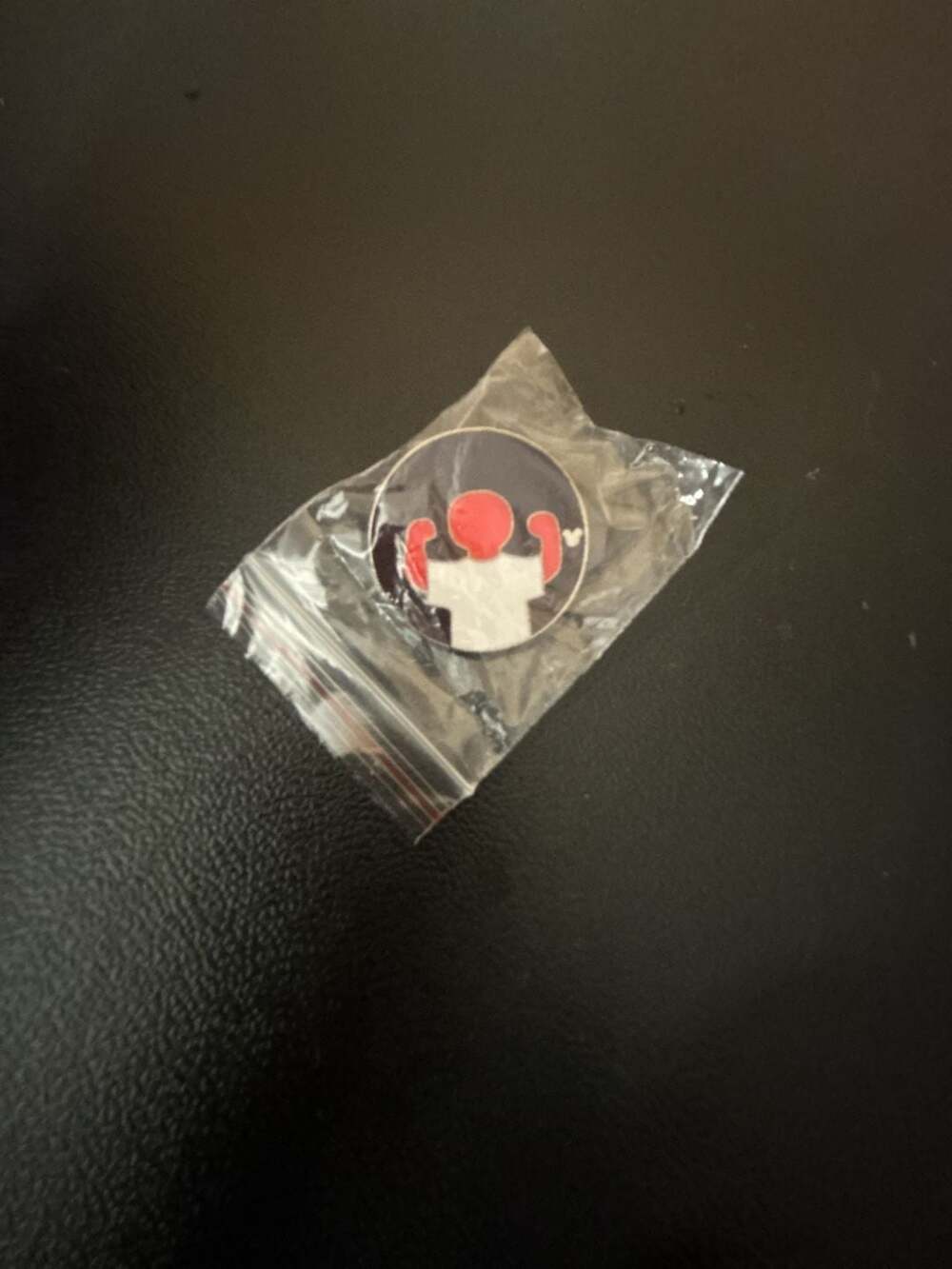 Disney Wilderness Explorer Pin